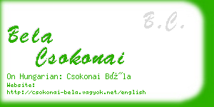 bela csokonai business card